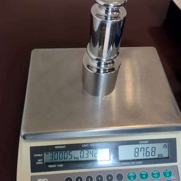 reparacion de basculas en aguascalientes 10