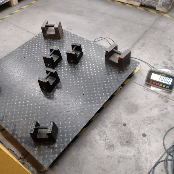 reparacion de basculas en aguascalientes 11