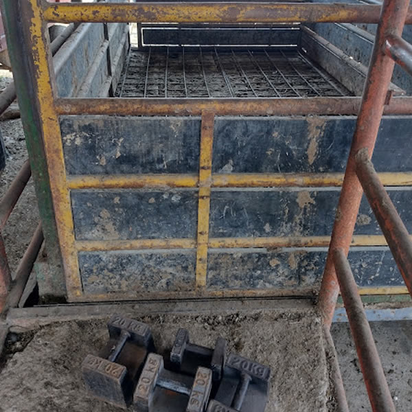 reparacion de basculas en aguascalientes 8