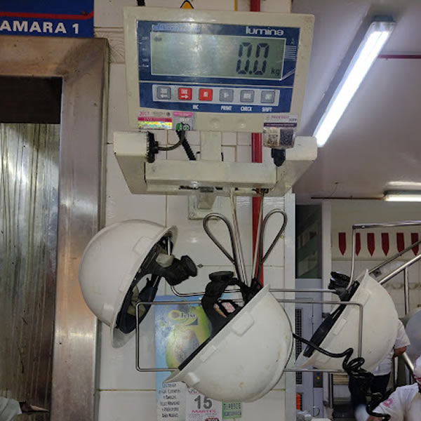 reparacion de basculas en aguascalientes 9